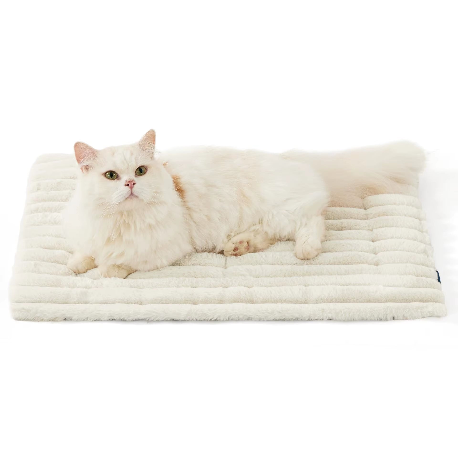 Warm Plush Cat Mat for Small Cat Dog Crate Pad Thermal Extra Warm Puppy Mat Indoor & Outdoor Non-Slip & Washable Pet Supplies