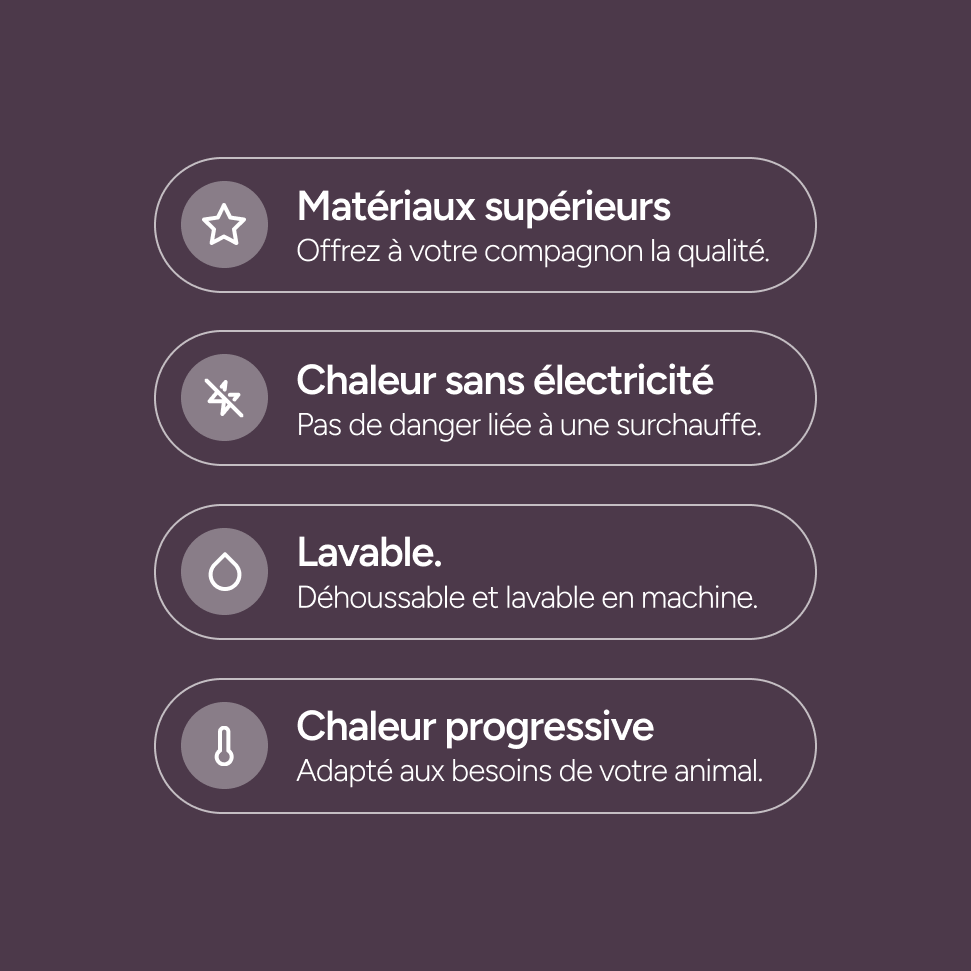 Coussin Auto Chauffant pour Chat